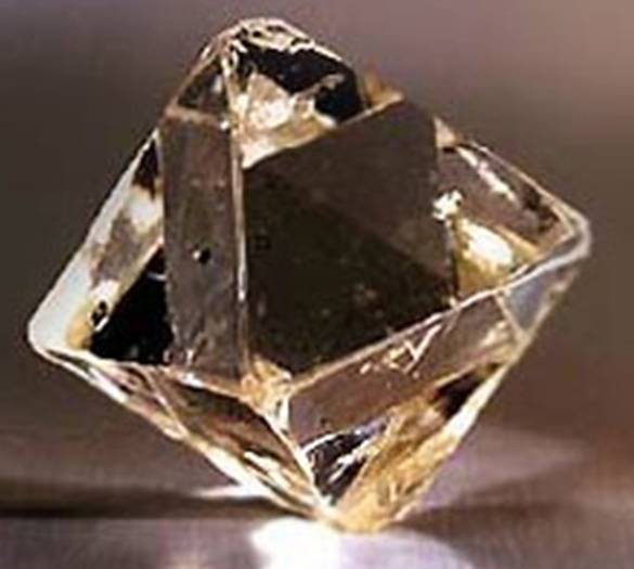 Домашнего питомца можно превратить в алмаз